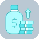 Внесення капіталу від співзасновників (у розробці)